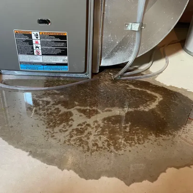 Appliance Leak Cleanup in Salt Lake City, UT